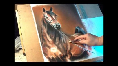 Fast drawing arabian stallion in soft pastelwmv