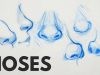 How to Draw Noses My Tips and Tricks