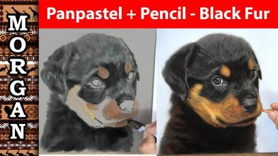 Pastel pencil Panpastel drawing dog and black fur
