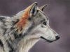How To Create Smooth Wolf Fur in Pastel using a