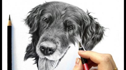 How to draw fur with pastel pencils, Drawing tutorial