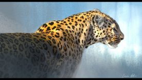 Digital Leopard Sketch done in Photoshop CC done on my