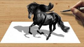 3D Pencil Drawing: Black Friesian Horse – Speed Draw |
