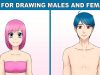 Tips for Drawing Male and Female Anatomy!