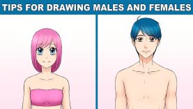 Tips for Drawing Male and Female Anatomy!