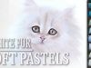 How to draw white fur with soft pastels | Time