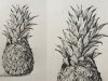 Pineapple Drawing in Pencil | Fruit Drawing | Pencil Sketch