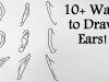 How to Draw Manga: 10+ Ways to Draw Ears!