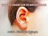 How to Paint Ear in Watercolor – For Beginners
