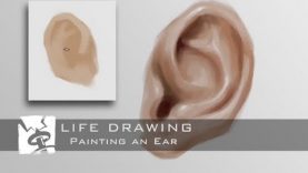 Painting an Ear