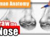 How to Draw a Nose the Easy Way – Different