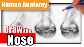 How to Draw a Nose the Easy Way – Different