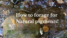 How to forage for Natural pigments!