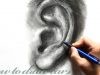 How to draw an ear in pencil-Step by Step tutorial