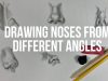 How to Draw Noses from Different Angles