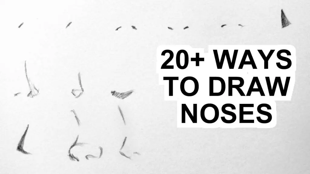 Drawing Noses - How to Draw Noses - Aaron Blaise - PaintingTube