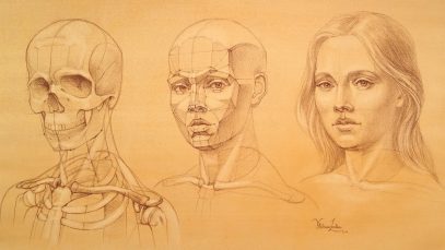 Head and Face Proportions