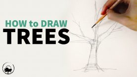 How to Sketch & Draw Trees – Understanding the Fundamentals