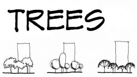 Trees For Architecture Sketches – Architecture Daily Sketches