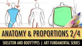 Art Fundamentals: Basic Anatomy & Proportions 2/4