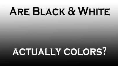 Color Theory | Are Black and White Colors