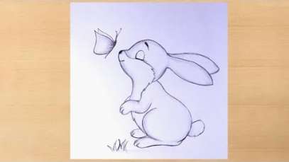 Simple and easy pencil drawing of bunny with butterfly/butterflydrawing with