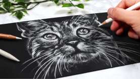 How to Transfer a Drawing / photo to Canvas for Painting - Jason Morgan  Wildlife Art 