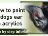 How to paint a dogs ear in acrylics | Full