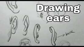 Drawing ears in different angles | how to draw ears