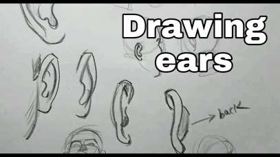 Drawing ears in different angles | how to draw ears