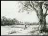 Landscape drawing for beginners with pencil sketching and shading –