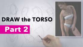How to Draw the Torso Exercise Part 2, One Minute