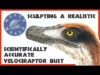 Sculpting a SCIENTIFICALLY ACCURATE VELOCIRAPTOR bust – How to sculpt