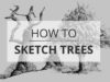 How to Sketch & Draw Trees