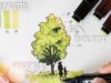 Architecture Trees Sketching Tips