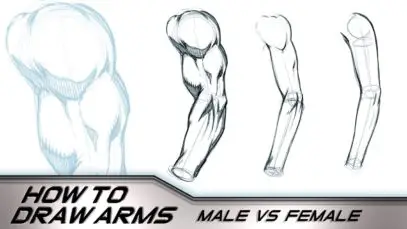 How to Draw Arms Male Vs Female