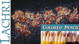 Blending Colored Pencil & Powder Blender Orchids & Clownfish Painting