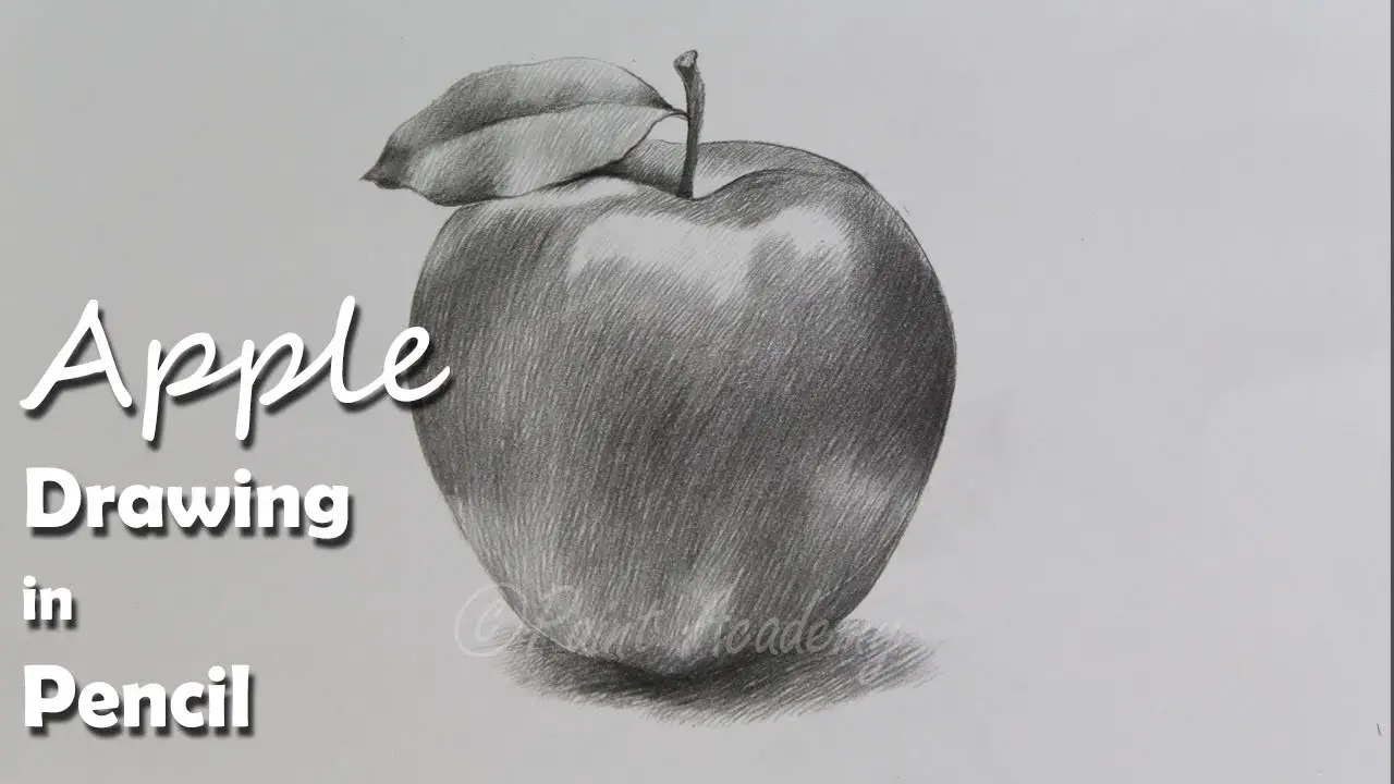 How to draw realistic apple | How to draw Freehand drawing - YouTube