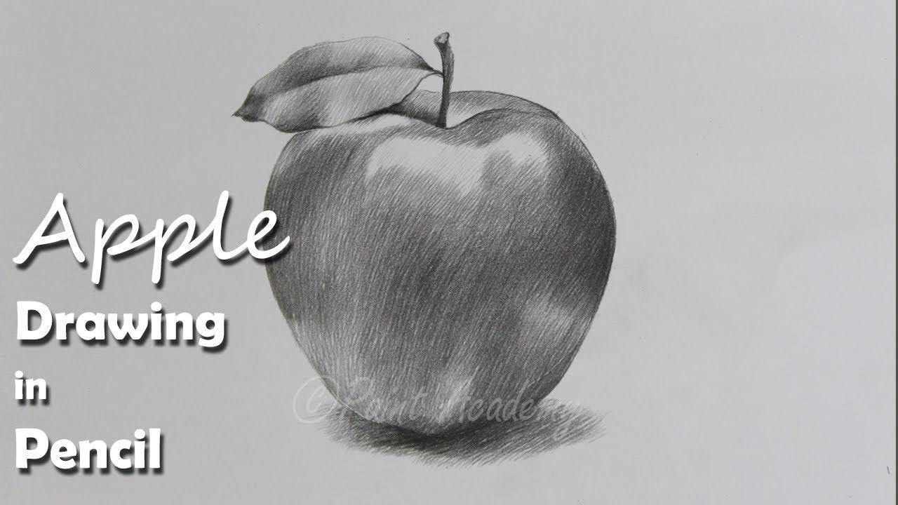 How to Draw An Apple in Pencil | step by